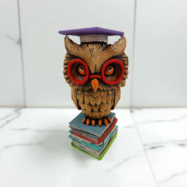 Graduate (Mezun) 3D Figür - Gizemli Baykuş Serisi - 051