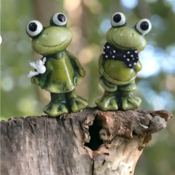 Kurbağa İkili Set
