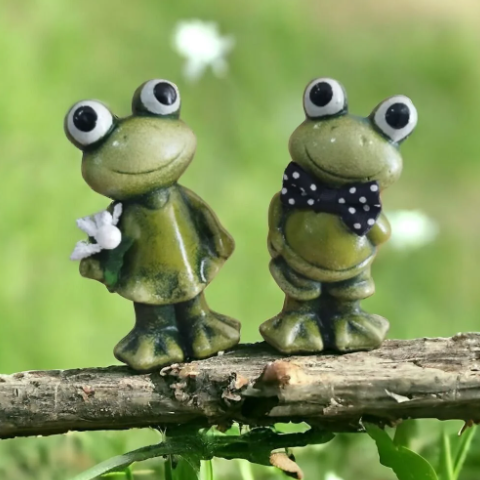 Kurbağa İkili Set