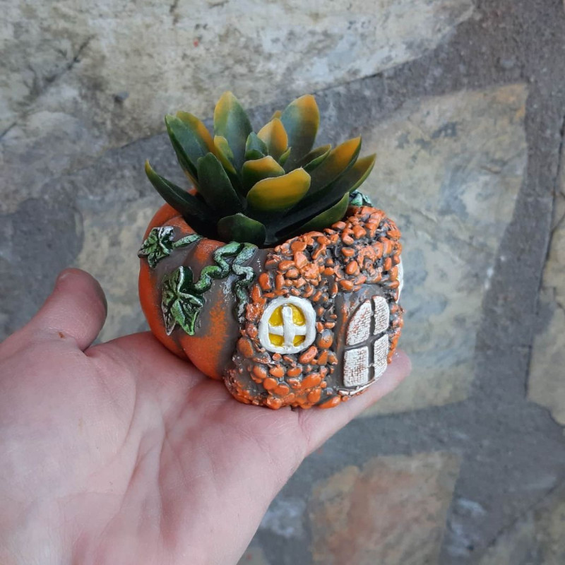 Kabak Ev Mini Saksı