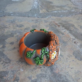 Kabak Ev Mini Saksı