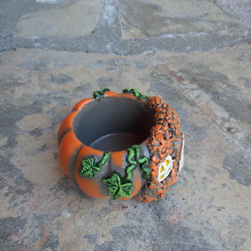 Kabak Ev Mini Saksı