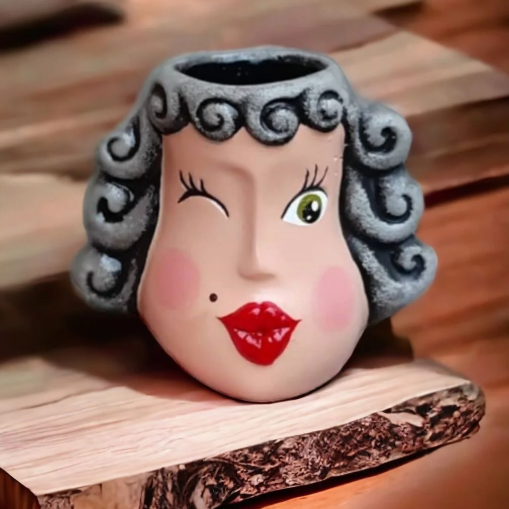 Afitap Saksı Kalemlik